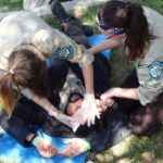 wilderness first aid training course