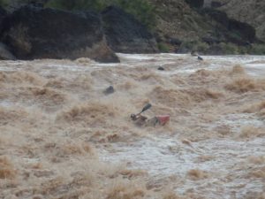 Riverboarding Lava Falls