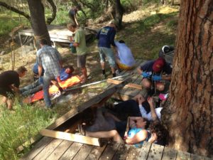 tree house collapse